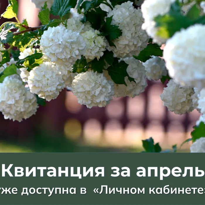 В «Личном кабинете» доступна квитанция для оплаты газа, потребленного в апреле