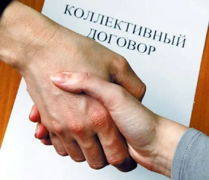 vT2GQ8vpruqOBOpL2vKSmVSqneaHABQSdSu9Srkv_fit-in_1024x1024_filters_quality(80)_format(webp)_782329.selcdn.ru_leonardo_uploadsForSiteId_1867_content_08d57142-32c4-438e-8a8a-35e73583e138