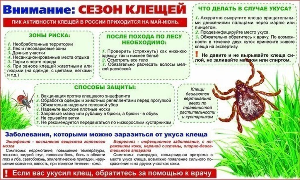 pamyaka_kleschi1