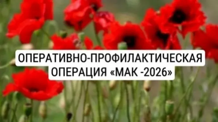 1234567809876543234567